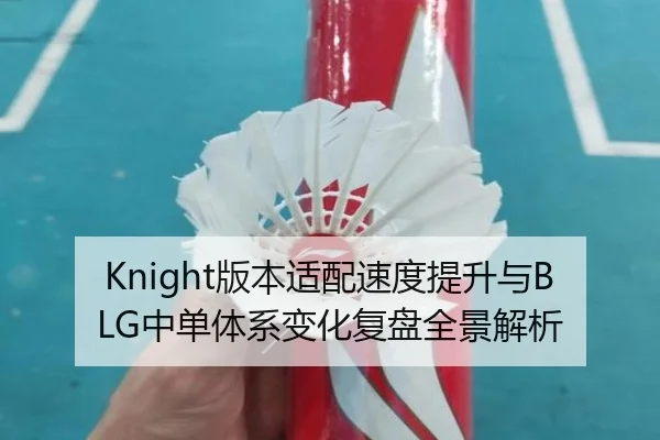 Knight版本适配速度提升与BLG中单体系变化复盘全景解析